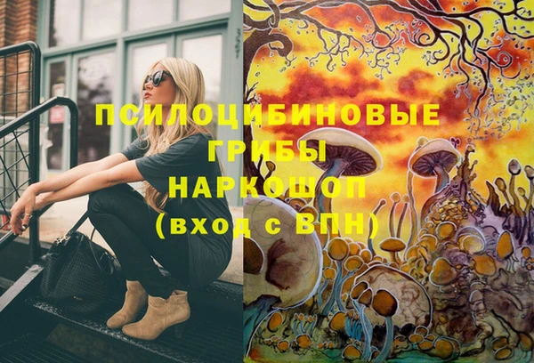 дживик Кулебаки