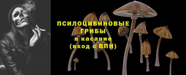 дживик Кулебаки