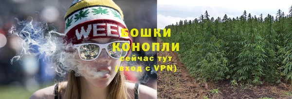дурь Ладушкин