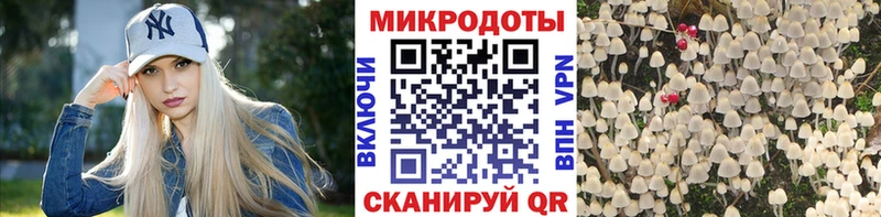 Галлюциногенные грибы Magic Shrooms  Купить где  Карачаевск 